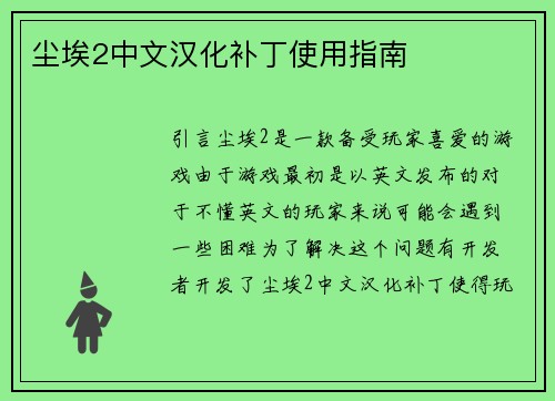 尘埃2中文汉化补丁使用指南